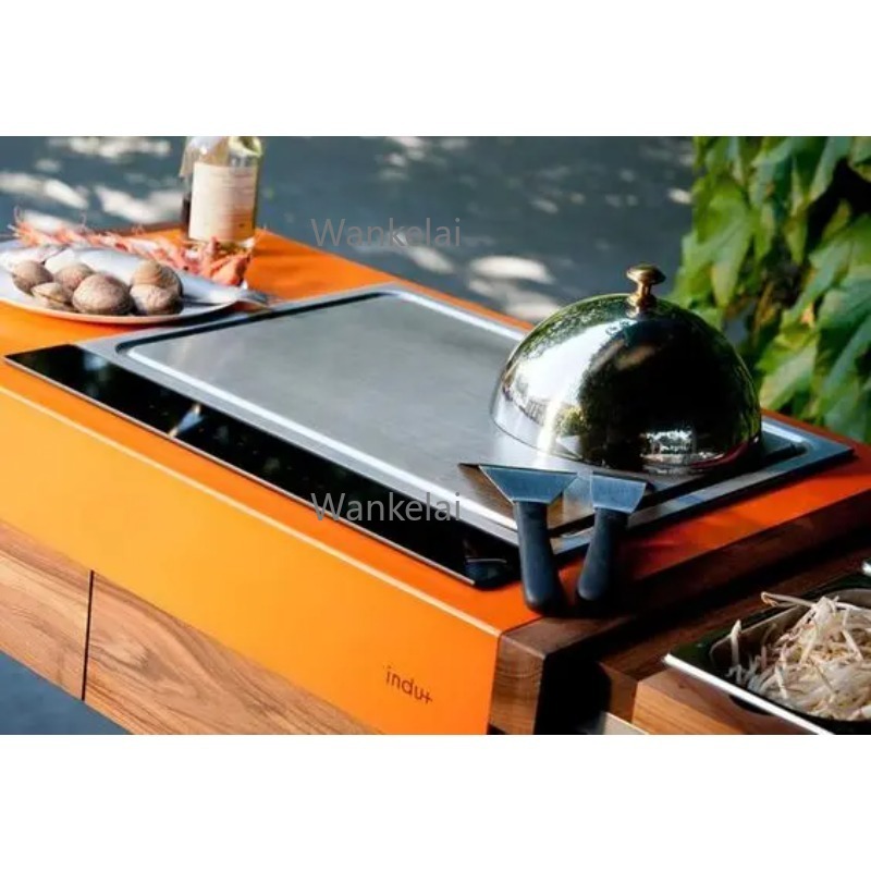 Коммерческий электрический инд – обзор и цена Teppanyaki Grill Table